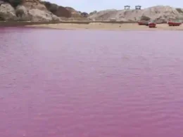 Gadani Pink tide