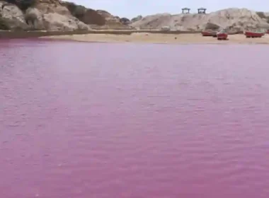 Gadani Pink tide