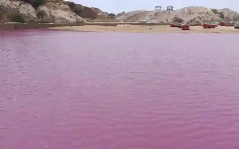 Gadani Pink tide