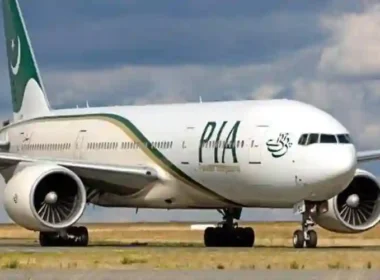 PIA privatisation process