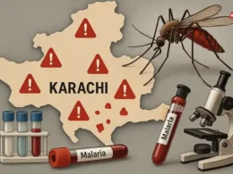 Karachi malaria cases 2025
