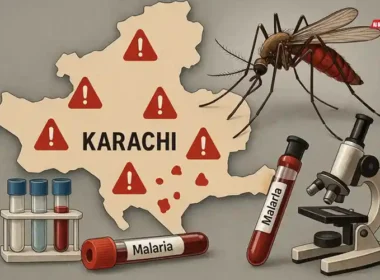 Karachi malaria cases 2025