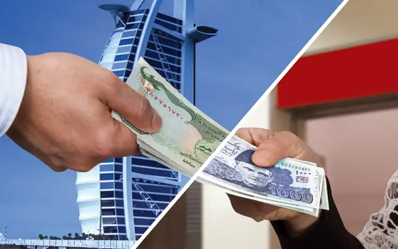Annual Pakistan remittances