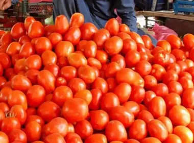 Tomato prices in Karachi