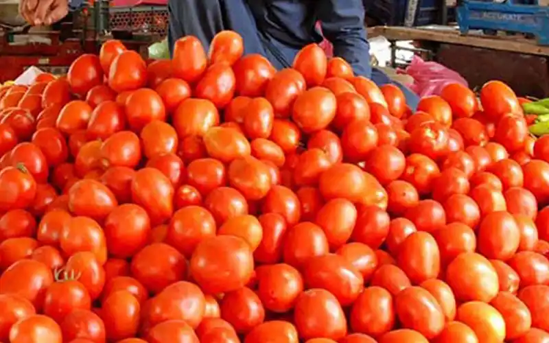 Tomato prices in Karachi