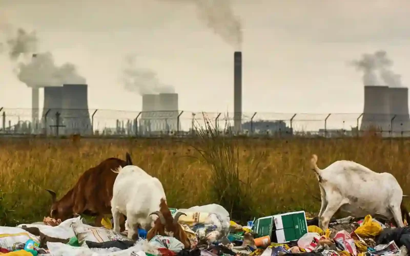 Climate change deaths