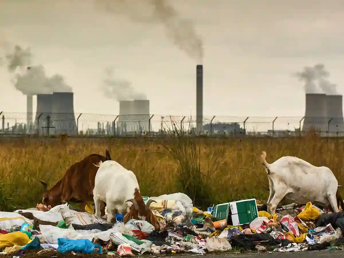 Climate change deaths