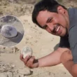 dinosaur egg found in Argentina