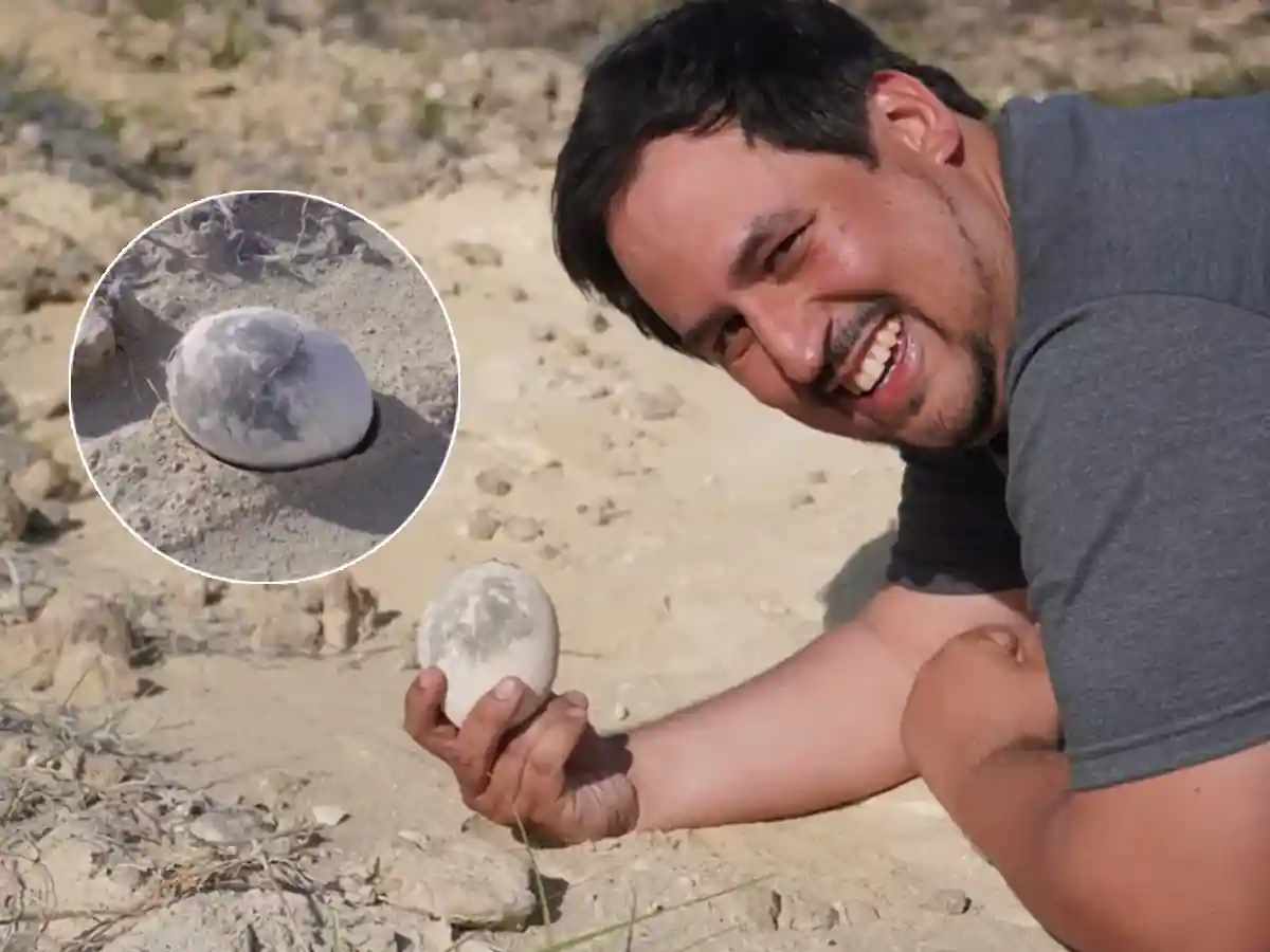 dinosaur egg found in Argentina