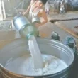 Karachi milk price increase