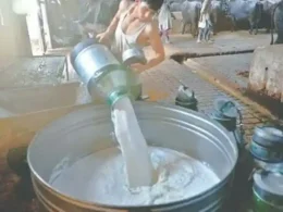 Karachi milk price increase