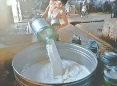 Karachi milk price increase