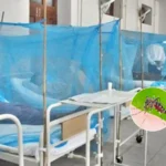 Karachi dengue cases