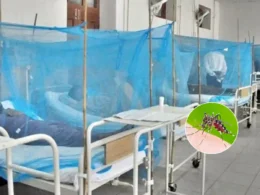 Karachi dengue cases