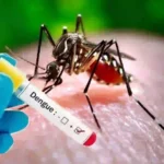Karachi dengue situation