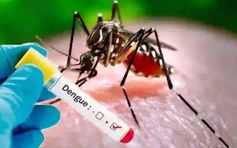 Karachi dengue situation