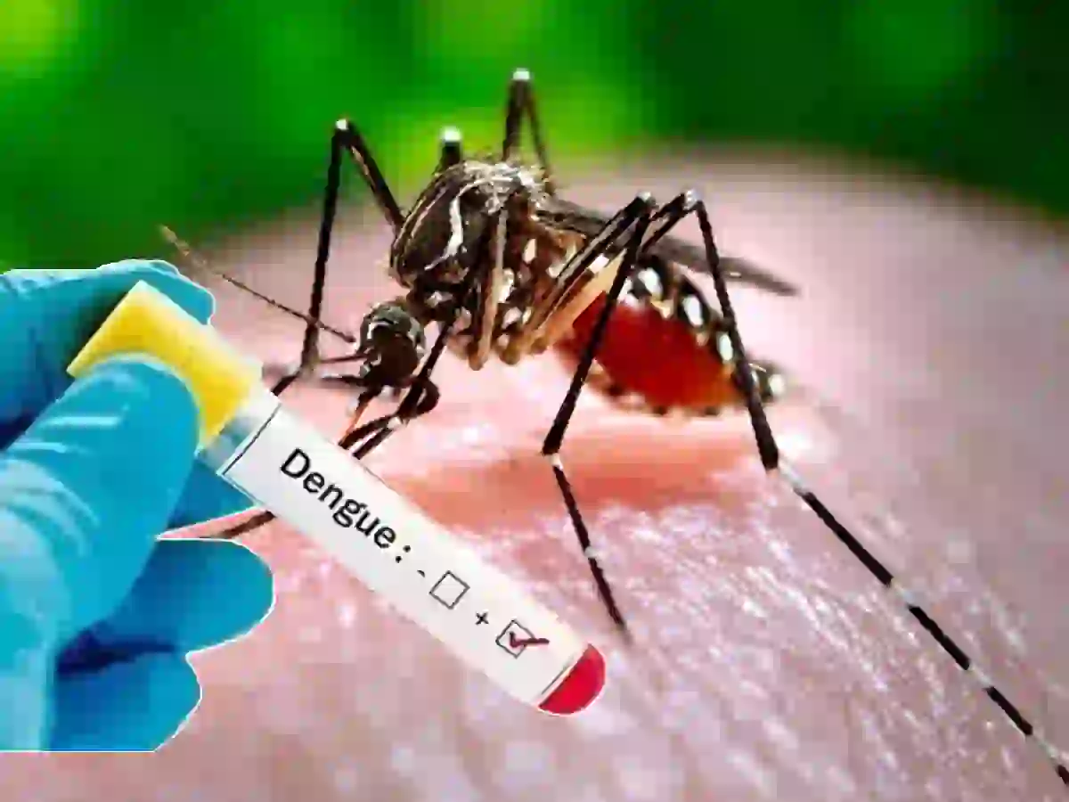 Karachi dengue situation