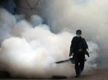 Karachi dengue fumigation schedule
