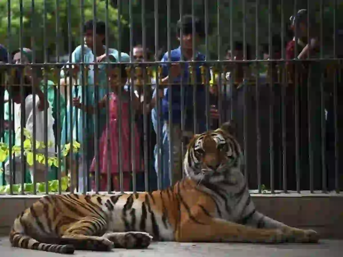 Karachi Zoo animal breeding ban