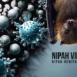 Nipah virus Pakistan