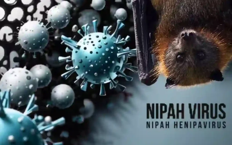 Nipah virus Pakistan