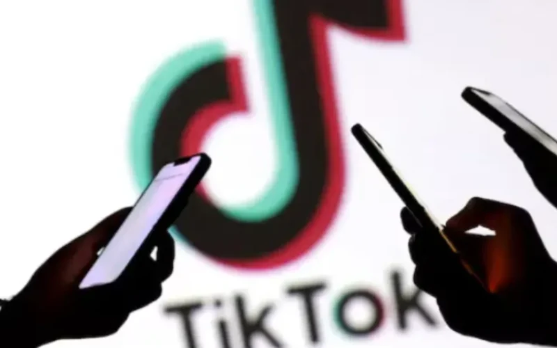 TikTok Search in Pakistan