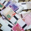 new currency notes of pakistan