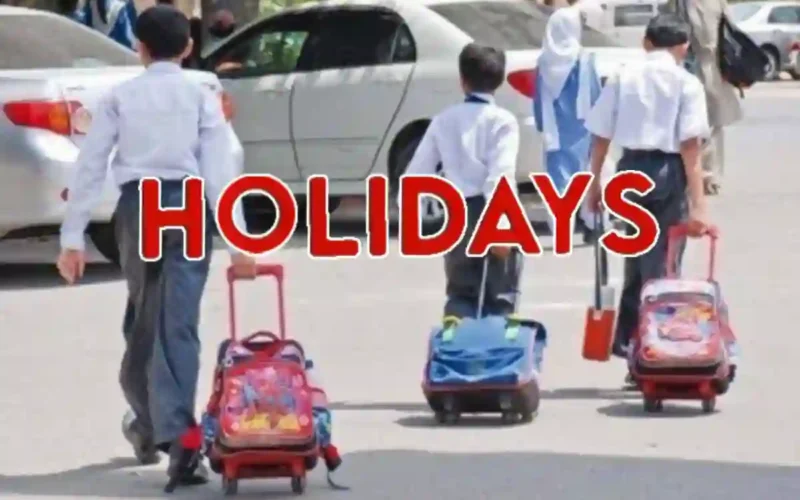 Sindh school holidays 2026