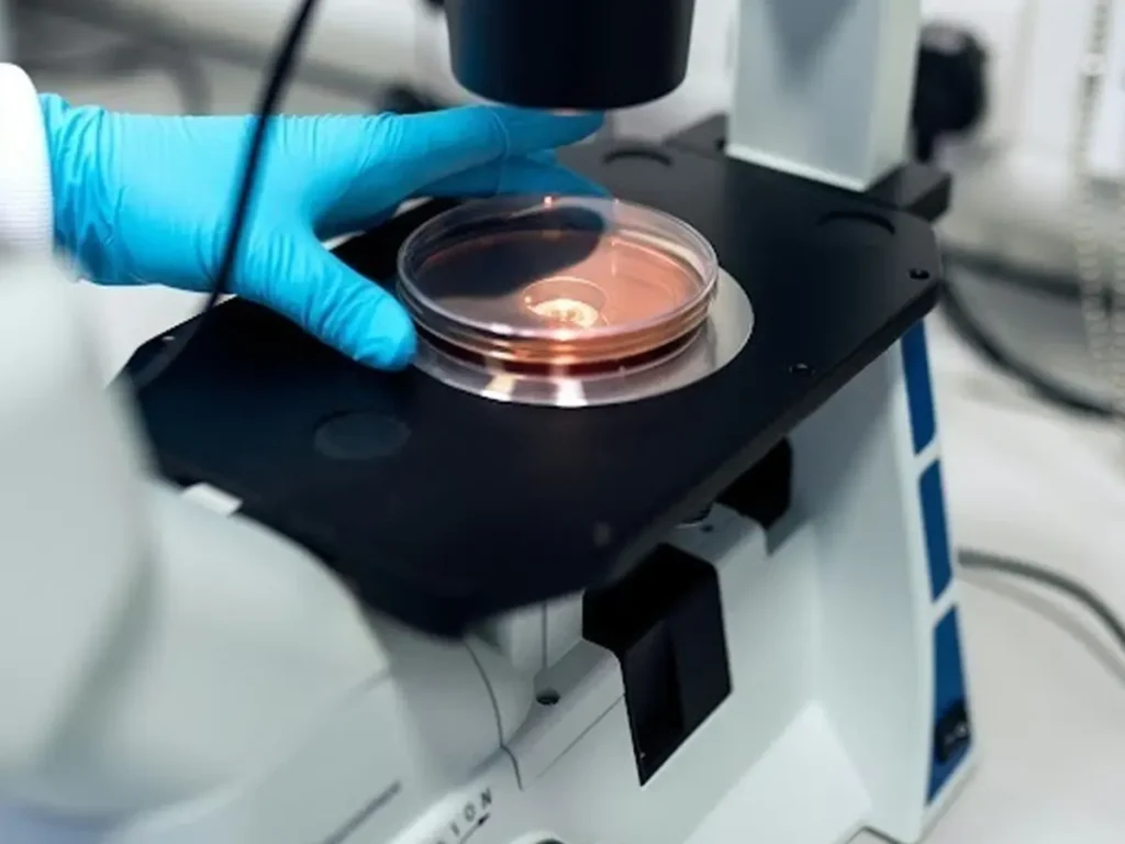 Beyond Binding: IGF-1 LR3 as a Persistent Signaling Peptide in Contemporary Research