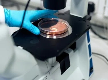 Receptor Grade IGF-1 LR3 (100mcg)