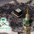 Saudi medical hajj