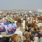 Maweshi Mandi vehicle pass Karachi
