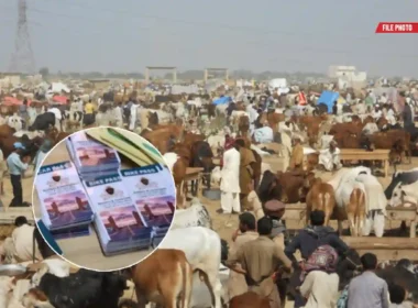 Maweshi Mandi vehicle pass Karachi