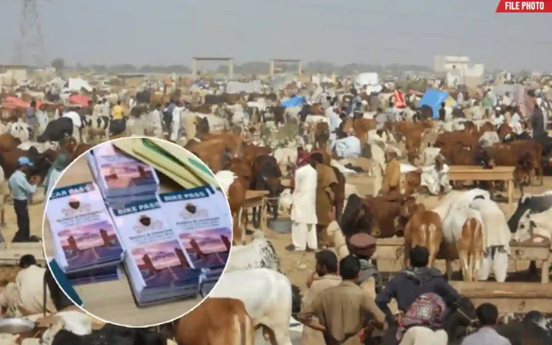 Maweshi Mandi vehicle pass Karachi