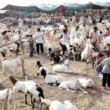 Eidul Adha 2026 Pakistan