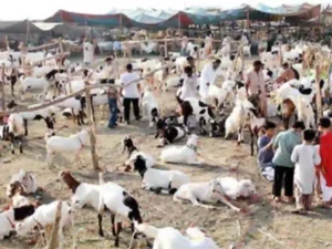 Eidul Adha 2026 Pakistan