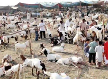 Eidul Adha 2026 Pakistan