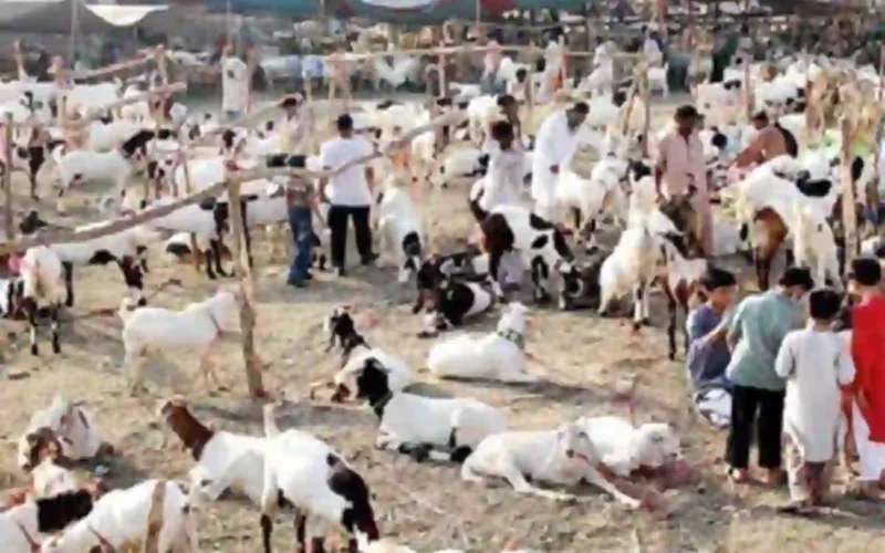 Eidul Adha 2026 Pakistan