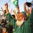 Chacha Cricket