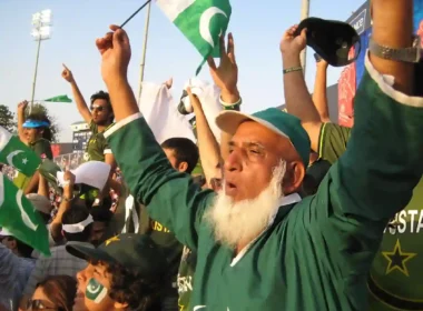 Chacha Cricket