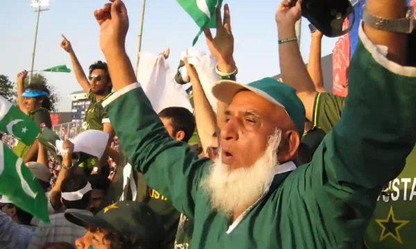 Chacha Cricket