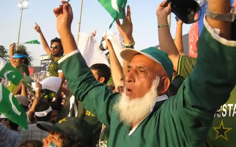 Chacha Cricket