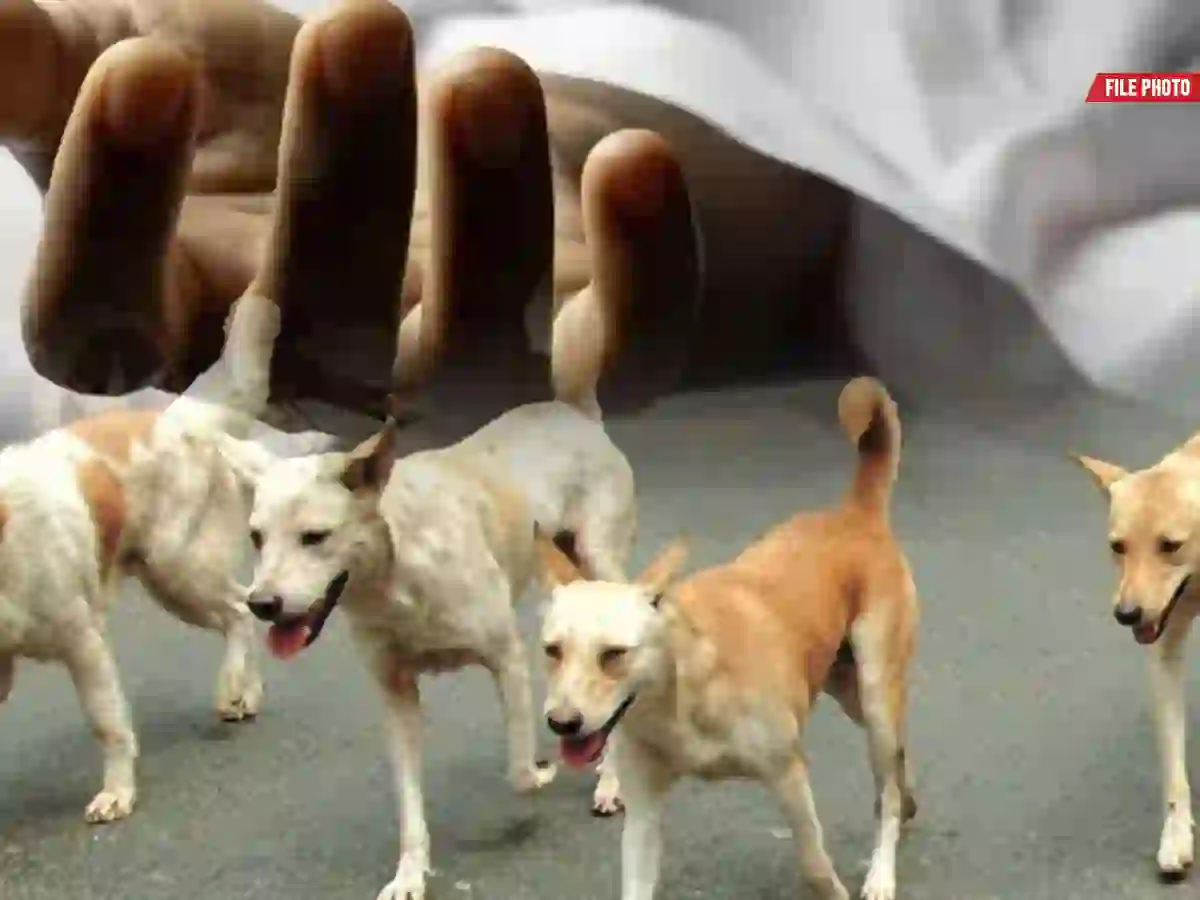 Karachi rabies death after dog bite