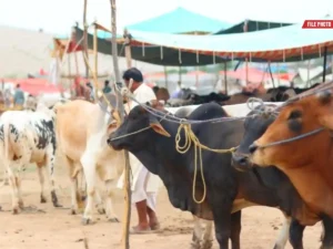 Eidul Adha 2026 Pakistan date