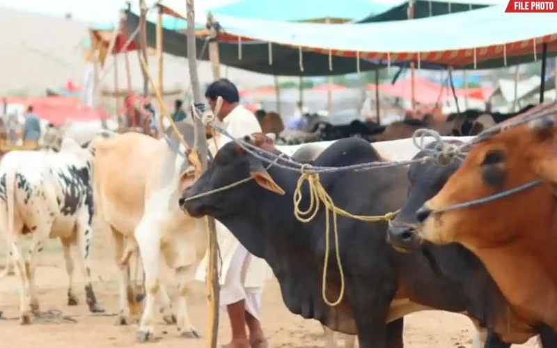 Eidul Adha 2026 Pakistan date