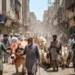 Karachi Weather before Eid ul Adha