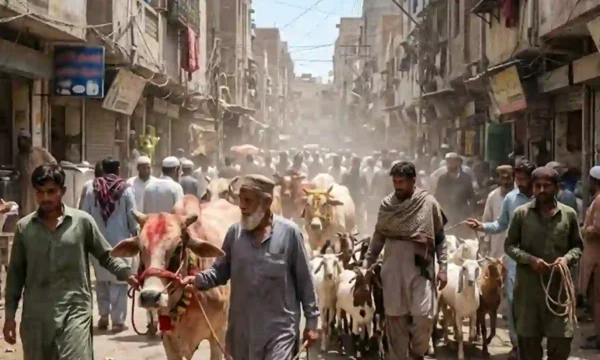 Karachi Weather before Eid ul Adha