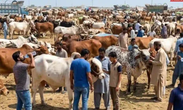 Karachi weather
