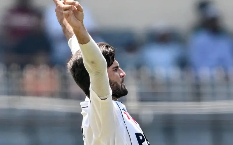 Shaheen Afridi wickets