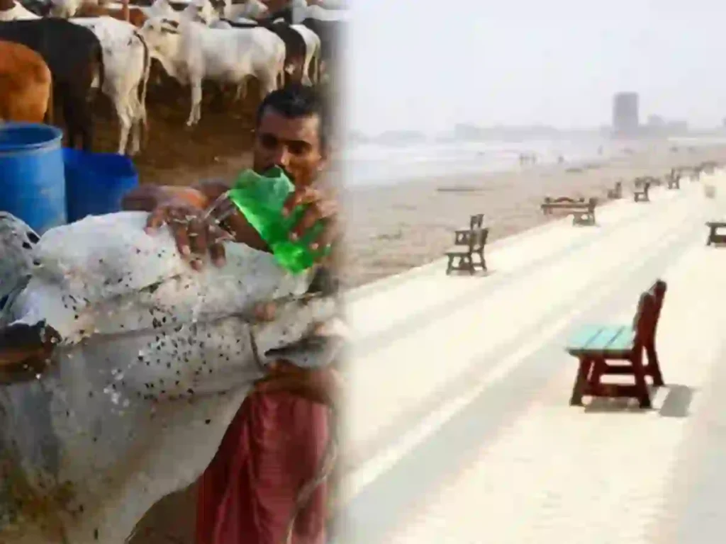 Karachi weather on Eid ul Adha